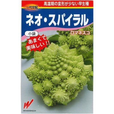画像1: [カリフラワー]　ネオ・スパイラル　1000粒　渡辺農事（株）