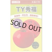 送料無料　[トマト/大玉トマト]　TY秀福　1000粒　カネコ種苗（株）