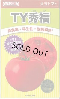 送料無料　[トマト/大玉トマト]　TY秀福　1000粒　カネコ種苗（株）