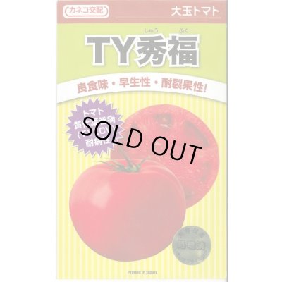 画像1: 送料無料　[トマト/大玉トマト]　TY秀福　1000粒　カネコ種苗（株）