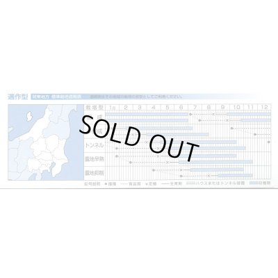 画像5: 送料無料　[なす]　PC筑陽　13粒　タキイ種苗(株)　DF