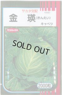 送料無料 [キャベツ] 金瑛 2000粒 （株）サカタのタネ