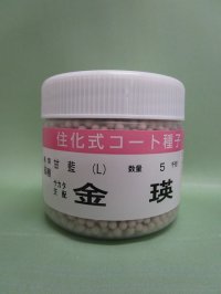 送料無料　[キャベツ]　金瑛　コート5000粒　（株）サカタのタネ