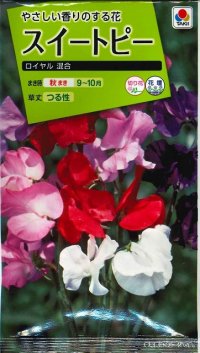 送料無料　花の種　スイートピー　ロイヤル混合　タキイ種苗(株)NL200