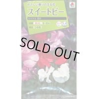 花の種　スイートピー　ロイヤル混合　タキイ種苗（株）