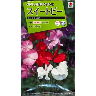 画像1: 送料無料　花の種　スイートピー　ロイヤル混合　タキイ種苗(株)NL200