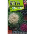 送料無料　花の種　葉牡丹　かもめ混合　タキイ種苗(株)NL200