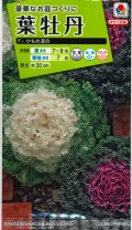 送料無料　花の種　葉牡丹　かもめ混合　タキイ種苗(株)NL200