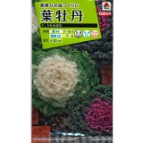 送料無料　花の種　葉牡丹　かもめ混合　タキイ種苗(株)NL200