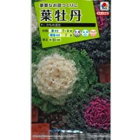 送料無料　花の種　葉牡丹　かもめ混合　タキイ種苗(株)NL200
