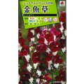 送料無料　花の種　金魚草　ナイト＆デイ　タキイ種苗(株)NL200