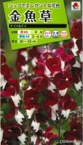 送料無料　花の種　金魚草　ナイト＆デイ　タキイ種苗(株)NL200