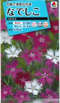 送料無料　花の種　なでしこ　河原混合　タキイ種苗(株)NL150