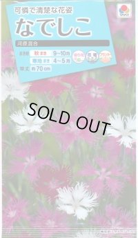 送料無料　花の種　なでしこ　河原混合　タキイ種苗(株)NL150