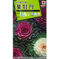 花の種 葉牡丹 丸葉系 フレッシュミックス タキイ種苗(株)NL200