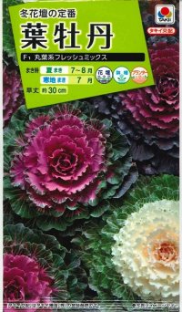 花の種 葉牡丹 丸葉系 フレッシュミックス タキイ種苗(株)NL200