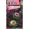 送料無料　花の種　葉牡丹　ファインミックス　タキイ種苗(株)NL300