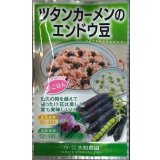 送料無料　[えんどう]　ツタンカーメンのエンドウ豆　8ml　（株）大和農園