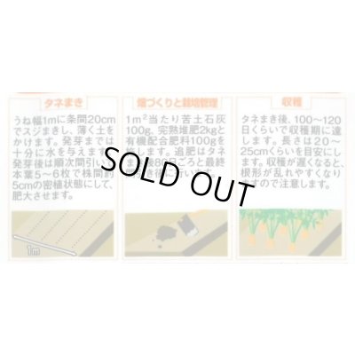 画像2: 送料無料　人参　カラフルにんじん　約470粒　(株)サカタのタネ実咲450（003112）