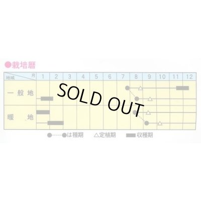 画像2: 送料無料　[ブロッコリー]　彩麟　小袋　トキタ種苗(株)