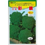 送料無料　[ブロッコリー]　彩麟　小袋　トキタ種苗(株)