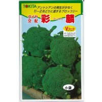 送料無料　[ブロッコリー]　彩麟　小袋　トキタ種苗(株)