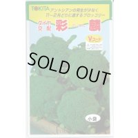 送料無料　[ブロッコリー]　彩麟　小袋　トキタ種苗(株)