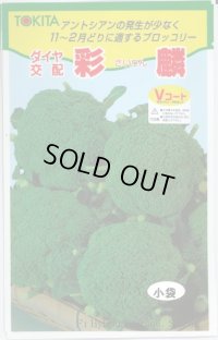 送料無料　[ブロッコリー]　彩麟　小袋　トキタ種苗(株)