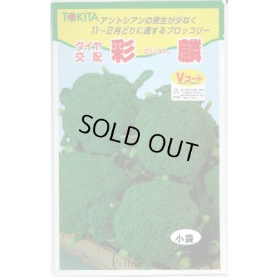 画像1: 送料無料　[ブロッコリー]　彩麟　小袋　トキタ種苗(株)
