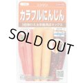 送料無料　人参　カラフルにんじん　約470粒　(株)サカタのタネ実咲450（003112）