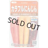 送料無料　人参　カラフルにんじん　約470粒　(株)サカタのタネ実咲450（003112）