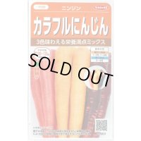 送料無料　人参　カラフルにんじん　約470粒　(株)サカタのタネ実咲450（003112）