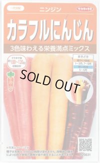 送料無料　人参　カラフルにんじん　約470粒　(株)サカタのタネ実咲450（003112）