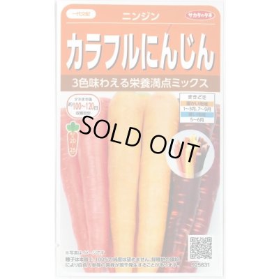 画像1: 送料無料　人参　カラフルにんじん　約470粒　(株)サカタのタネ実咲450（003112）