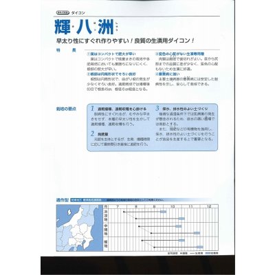 画像2: 送料無料　[大根]　大根種　輝八洲　14ml　タキイ種苗(株)　DF