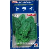 送料無料　[ほうれんそう]　トライ　1dl　タキイ種苗(株)