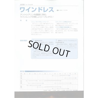 画像3: 送料無料　[レタス]　リーフレタス　ワインドレス　ペレット5千粒　タキイ種苗(株)