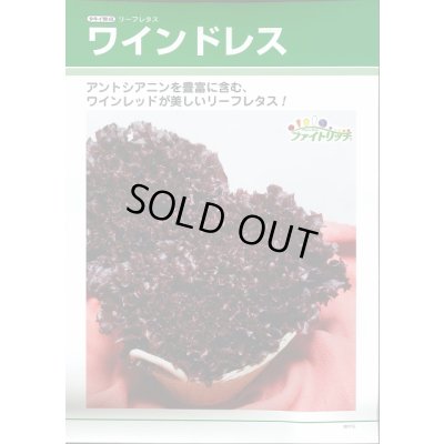 画像2: 送料無料　[レタス]　リーフレタス　ワインドレス　ペレット5千粒　タキイ種苗(株)