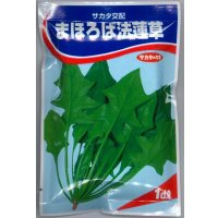 送料無料　[ほうれんそう]　まほろば法蓮草　1dl　サカタ交配