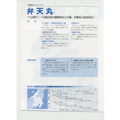 画像3: [シーダー種子]　ほうれんそう　弁天丸　1粒×5cm間隔