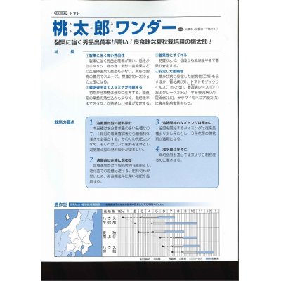 画像3: [トマト/桃太郎系]　送料無料！　桃太郎ワンダー　1000粒　タキイ種苗（株）