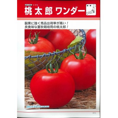 画像2: [トマト/桃太郎系]　送料無料！　桃太郎ワンダー　ペレット　２L千粒　タキイ種苗（株）