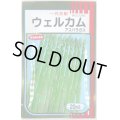 送料無料　[アスパラガス]　ウェルカム　20ml　(株)サカタのタネ