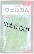 送料無料　[アスパラガス]　ウェルカム　20ml　(株)サカタのタネ