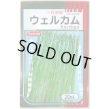送料無料　[アスパラガス]　ウェルカム　20ml　(株)サカタのタネ
