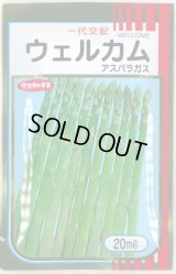 送料無料　[アスパラガス]　ウェルカム　20ml　(株)サカタのタネ