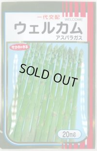 [アスパラガス]　ウェルカム　20ml　サカタ一代交配