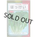 送料無料　[小松菜]　はっけい　20ml　（株）サカタのタネ