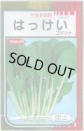 送料無料　[小松菜]　はっけい　20ml　（株）サカタのタネ