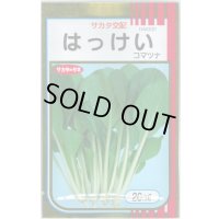 送料無料　[小松菜]　はっけい　20ml　（株）サカタのタネ